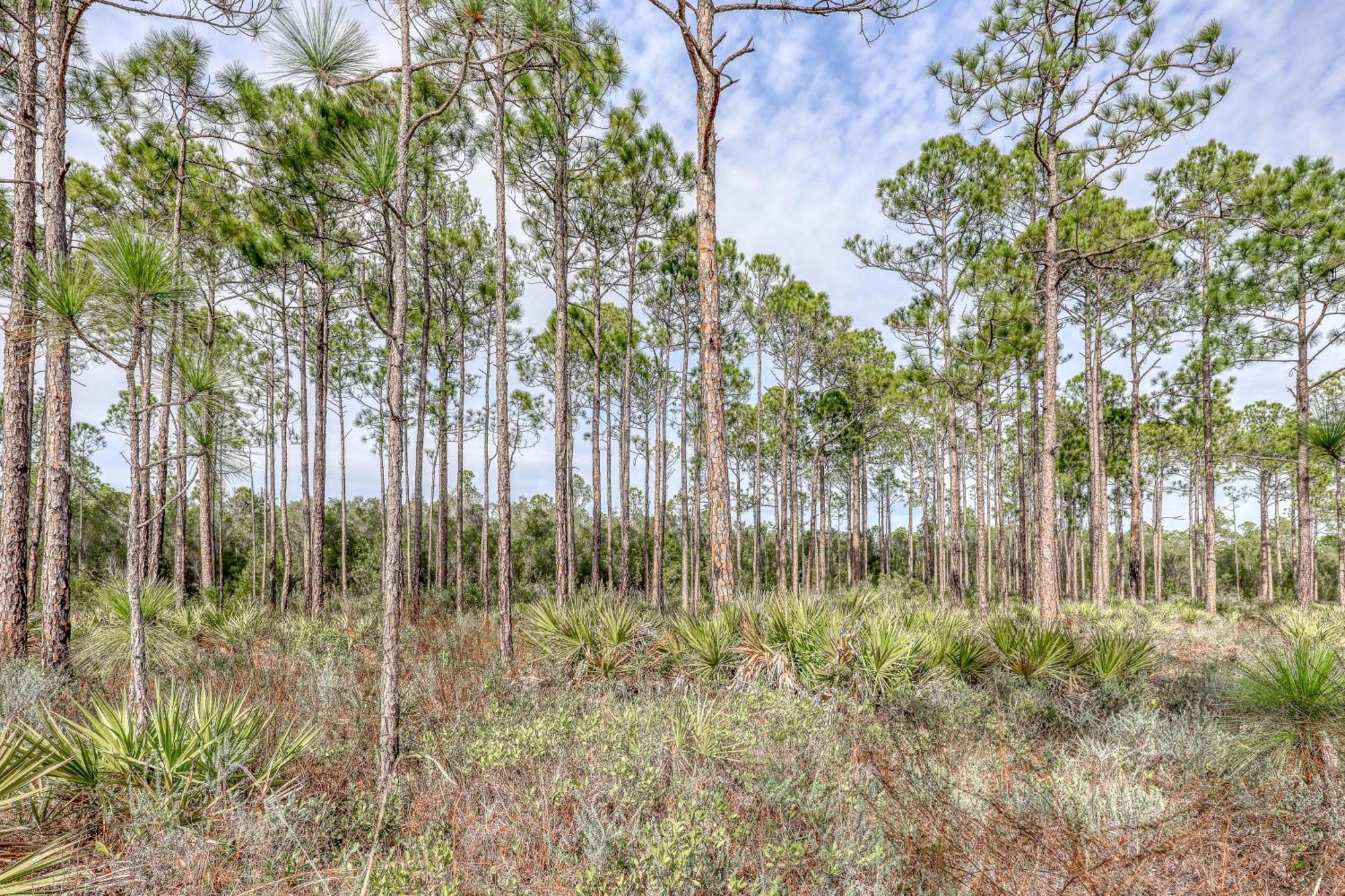 Village Of South Walton B247 Inlet Beach 外观 照片